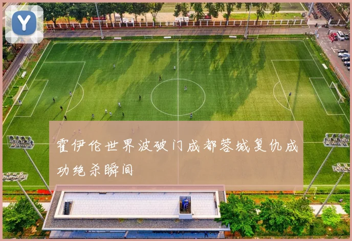 霍伊伦世界波破门成都蓉城复仇成功绝杀瞬间