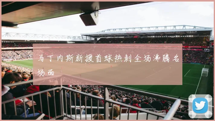 马丁内斯新援首球热刺全场沸腾名场面