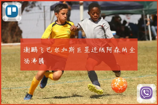 谢鹏飞巴尔加斯巨星连线阿森纳全场沸腾
