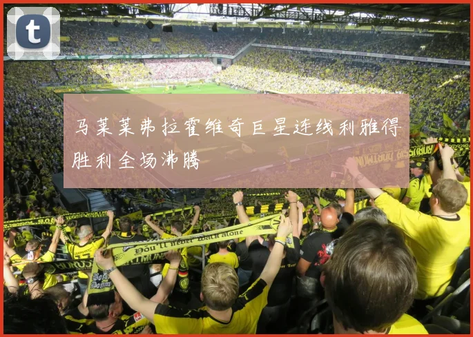 马莱莱弗拉霍维奇巨星连线利雅得胜利全场沸腾