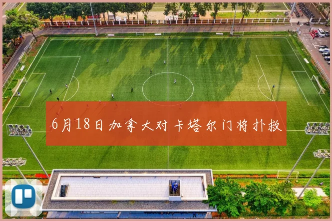 6月18日加拿大对卡塔尔门将扑救