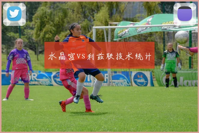 水晶宫vs利兹联技术统计